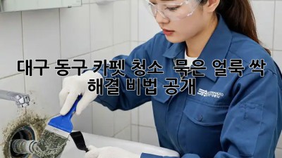 대구 동구 카펫 청소 ✨ 묵은 얼룩 싹! 해결 비법 공개
