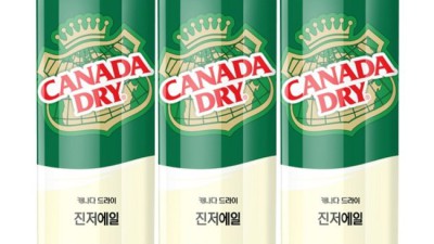 진저에일30: 득템찬스! 내돈내산 솔직 후기와 꿀팁 대방출